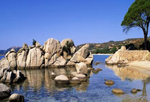 央视CCTV5今天直播什么？最新赛事与节目安排全解析